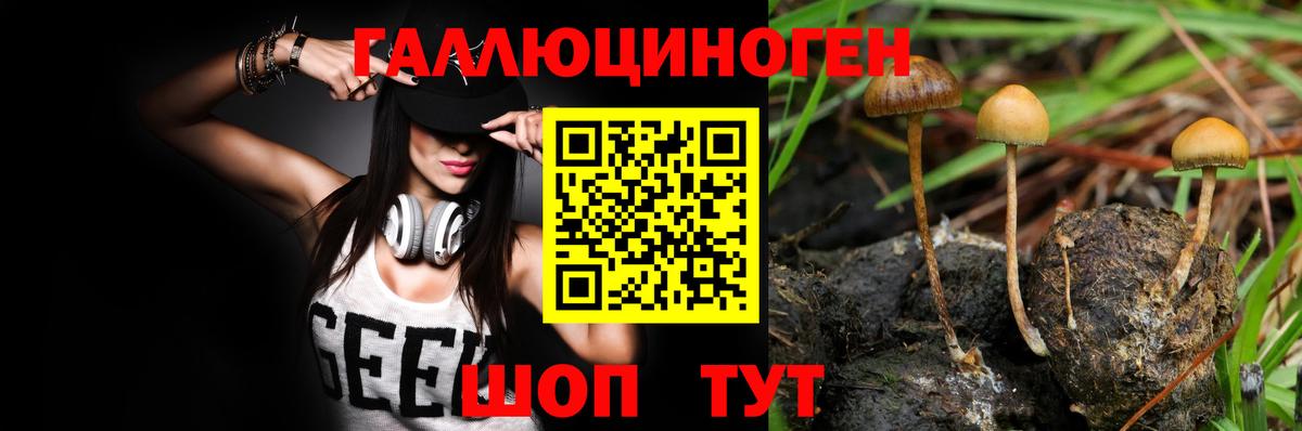 Галлюциногенные грибы GOLDEN TEACHER  Вход с VPN  Южно-Сахалинск 